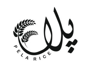 لوگو